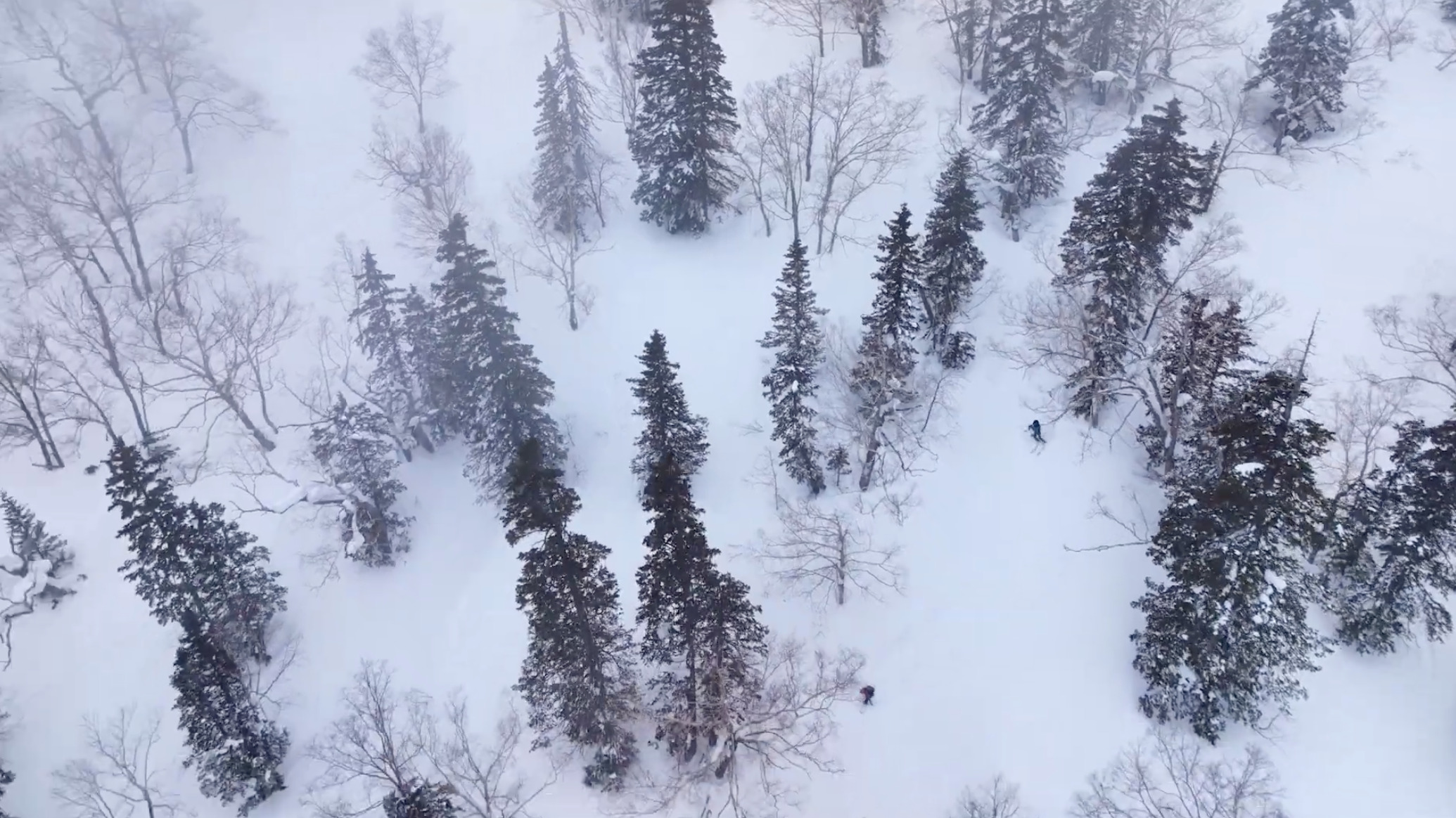 写真6 | season2 第十
一回：大雪山黒岳エリアのバックカントリーはパウダー天国」 | DISCOVER 大雪