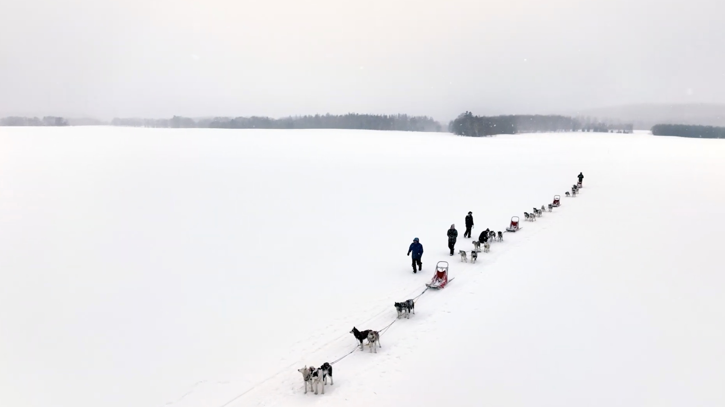 写真2 | season2 第十
二回：白銀の世界を疾走する犬ぞり体験」 | DISCOVER 大雪