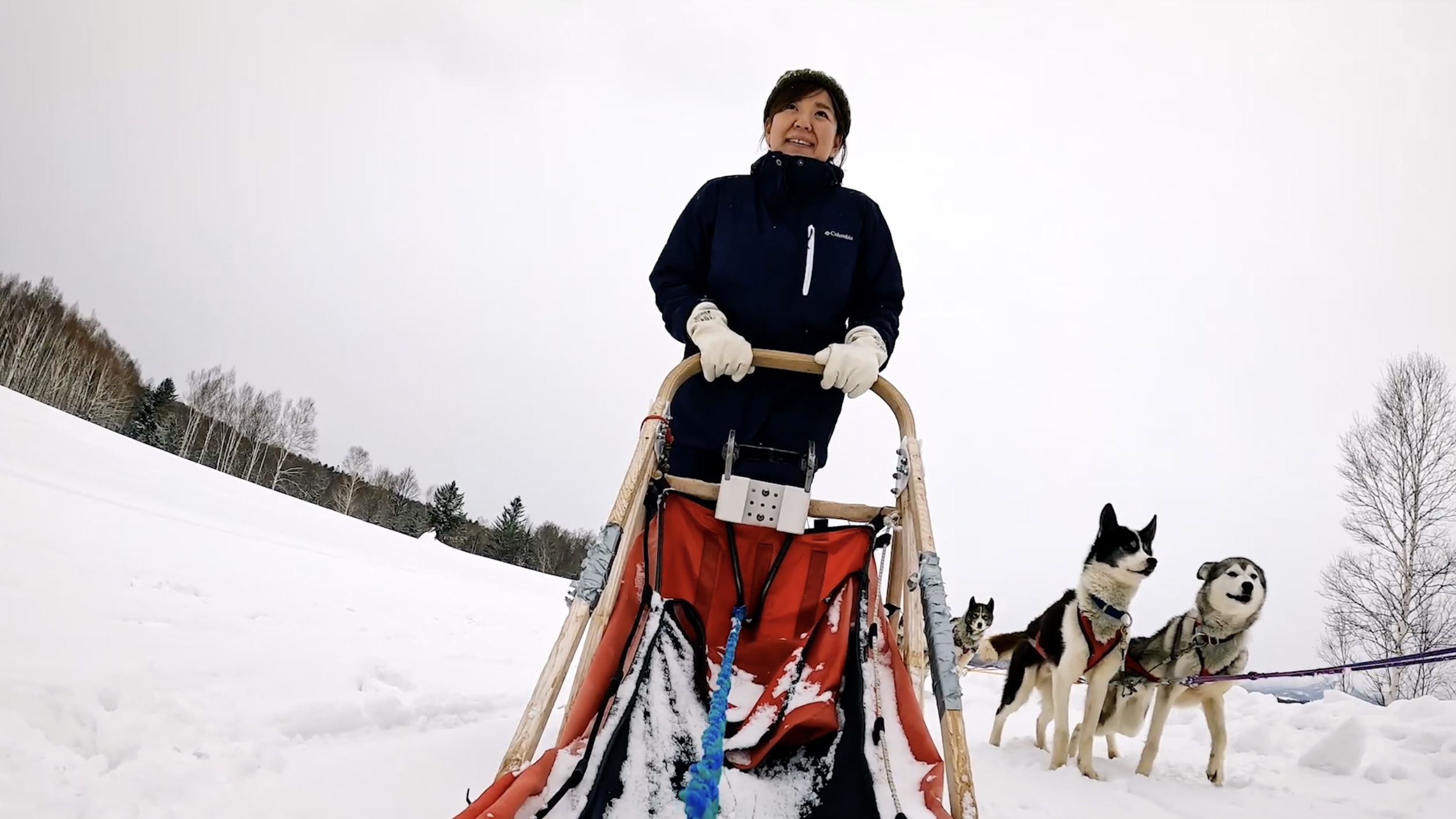 写真3 | season2 第十
二回：白銀の世界を疾走する犬ぞり体験」 | DISCOVER 大雪