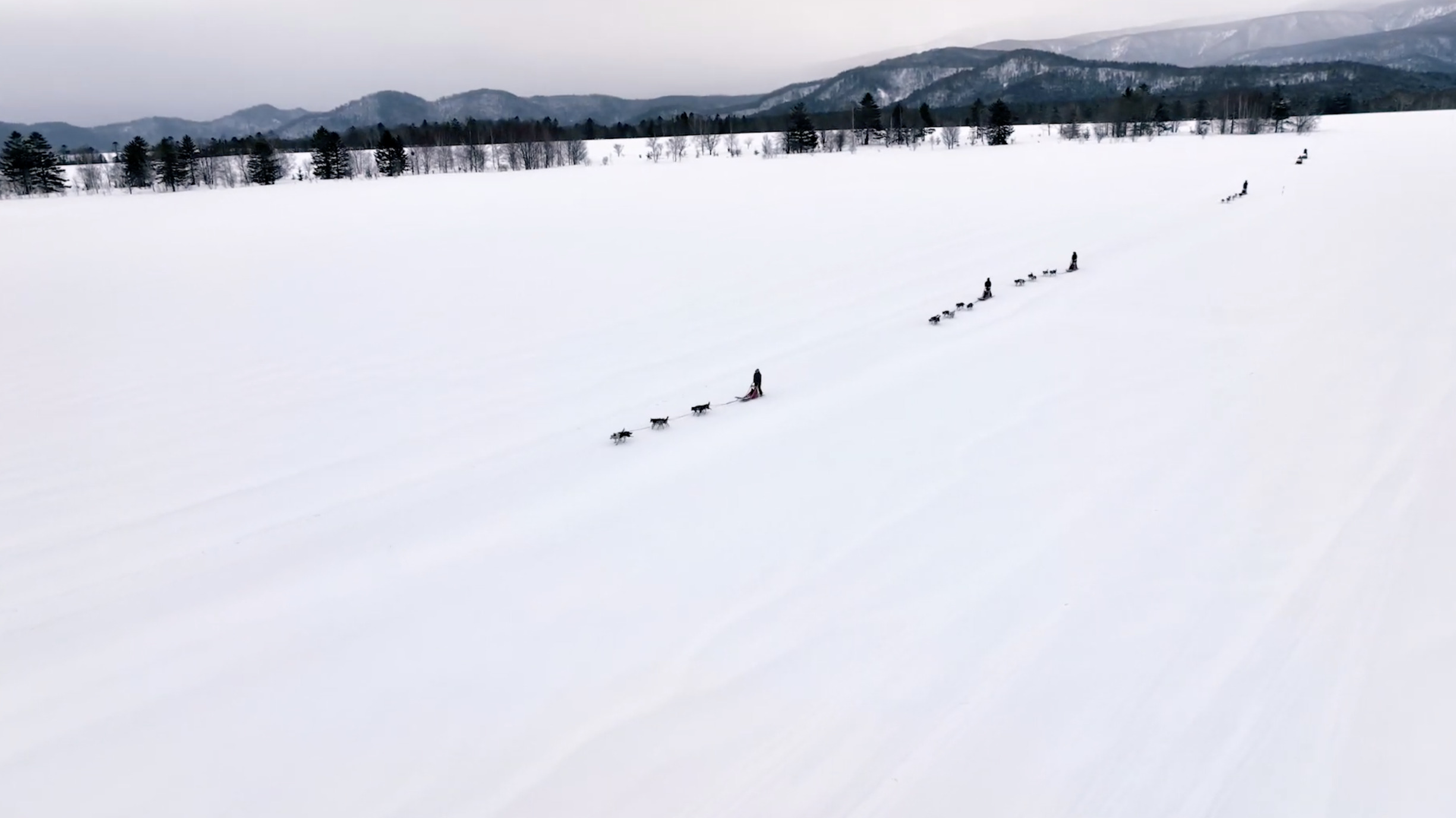 写真7 | season2 第十
二回：白銀の世界を疾走する犬ぞり体験」 | DISCOVER 大雪